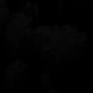 Meet your Posher, Jake